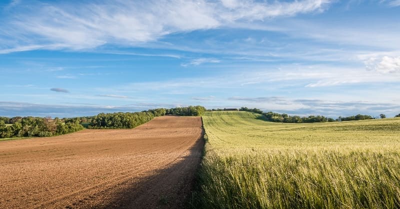 You are currently viewing La Commission européenne propose des dérogations aux règles de la PAC pour 2024 pour permettre aux agriculteurs de faire face à ces « temps de grande incertitude »