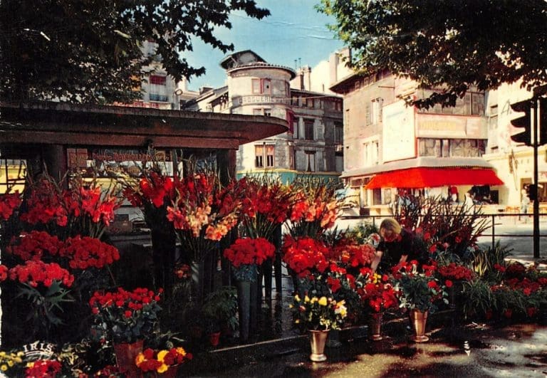 Lire la suite à propos de l’article Saint-Etienne : Le marché aux fleurs place du peuple, c’était quelque chose !