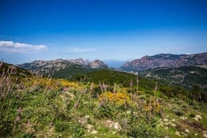 Lire la suite à propos de l’article Corse : vers la reconnaissance d’un statut d’autonomie