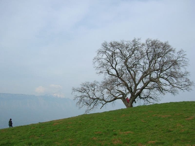 You are currently viewing L’appli Around.Us dévoile sa sélection des meilleurs spots Instagrammables de Grenoble, Lyon et Saint-Étienne