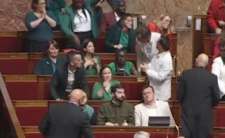 Lire la suite à propos de l’article Défiant les sanctions, les députés de la Nupes arborent les couleurs de la Palestine à l’Assemblée Nationale