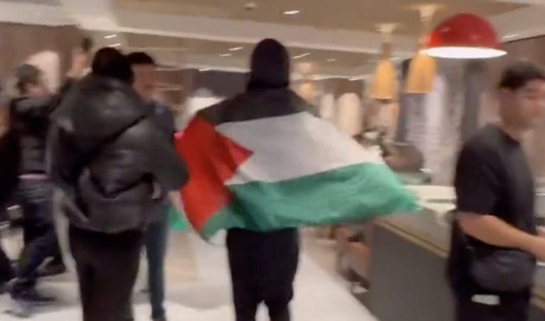 Lire la suite à propos de l’article Manifestation à Paris : Un McDonald’s pris pour cible par des pro-palestiniens