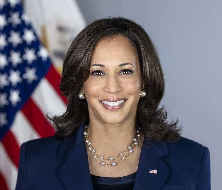 Lire la suite à propos de l’article Etats-Unis : Kamala Harris investie par vote électronique ?