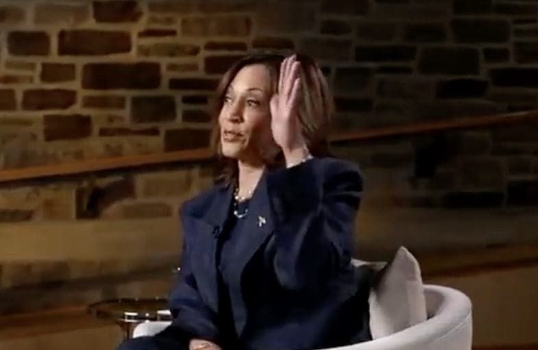 You are currently viewing Etats-Unis : Kamala Harris mise à mal lors d’une interview sur Fox News