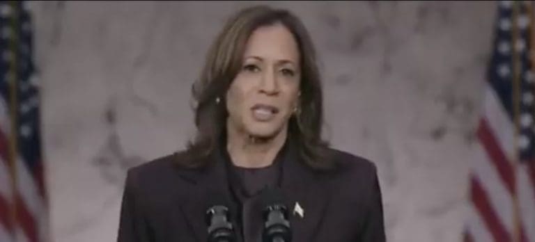 Lire la suite à propos de l’article USA : Kamala Harris appelle à l’unité et à la persévérance après sa défaite historique