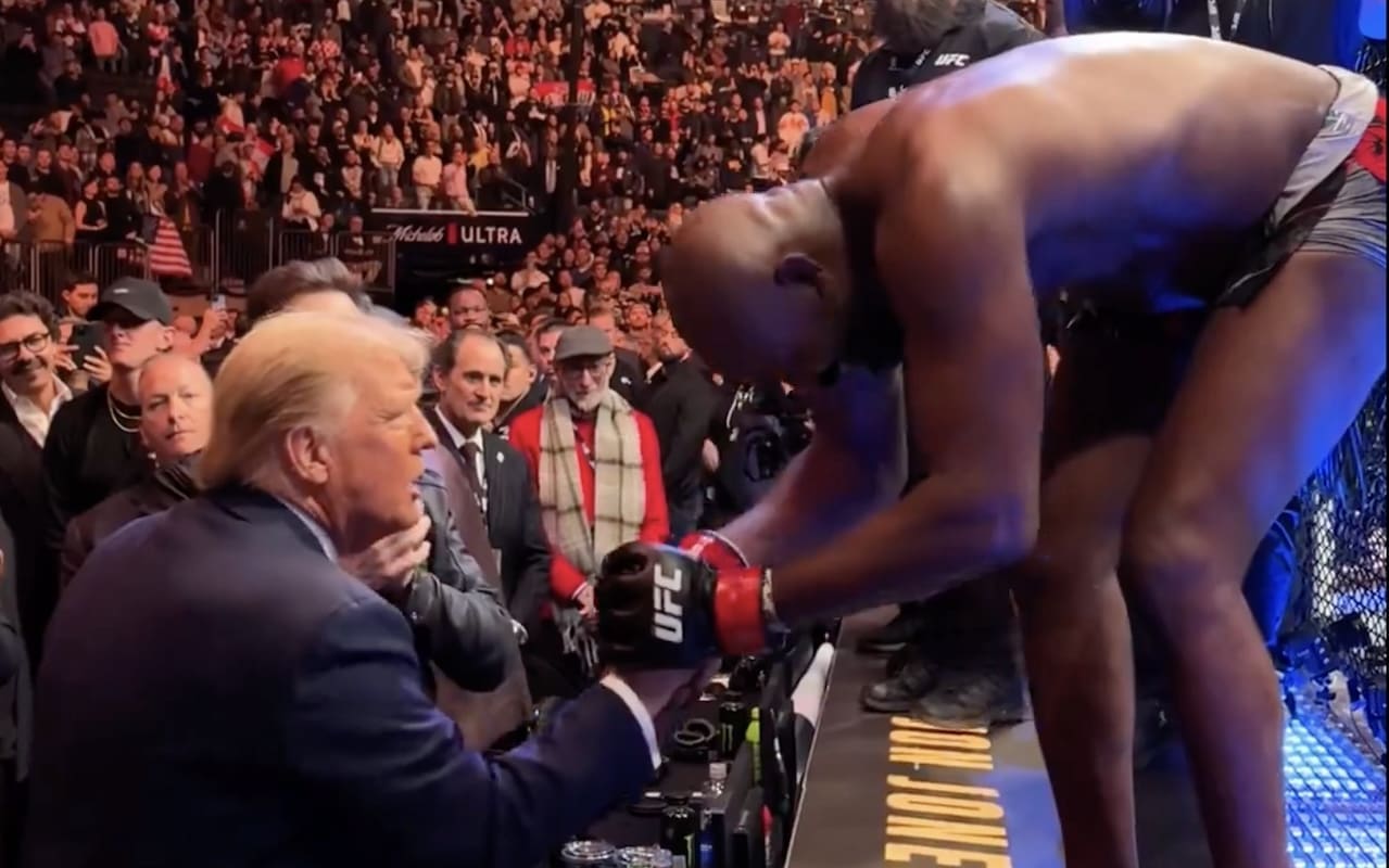 You are currently viewing Donald Trump et Elon Musk font une entrée remarquée à la soirée MMA UFC 309