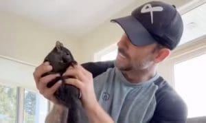 Lire la suite à propos de l’article USA : L’euthanasie de P’nut, l’écureuil devenu star des réseaux sociaux s’invite dans l’élection