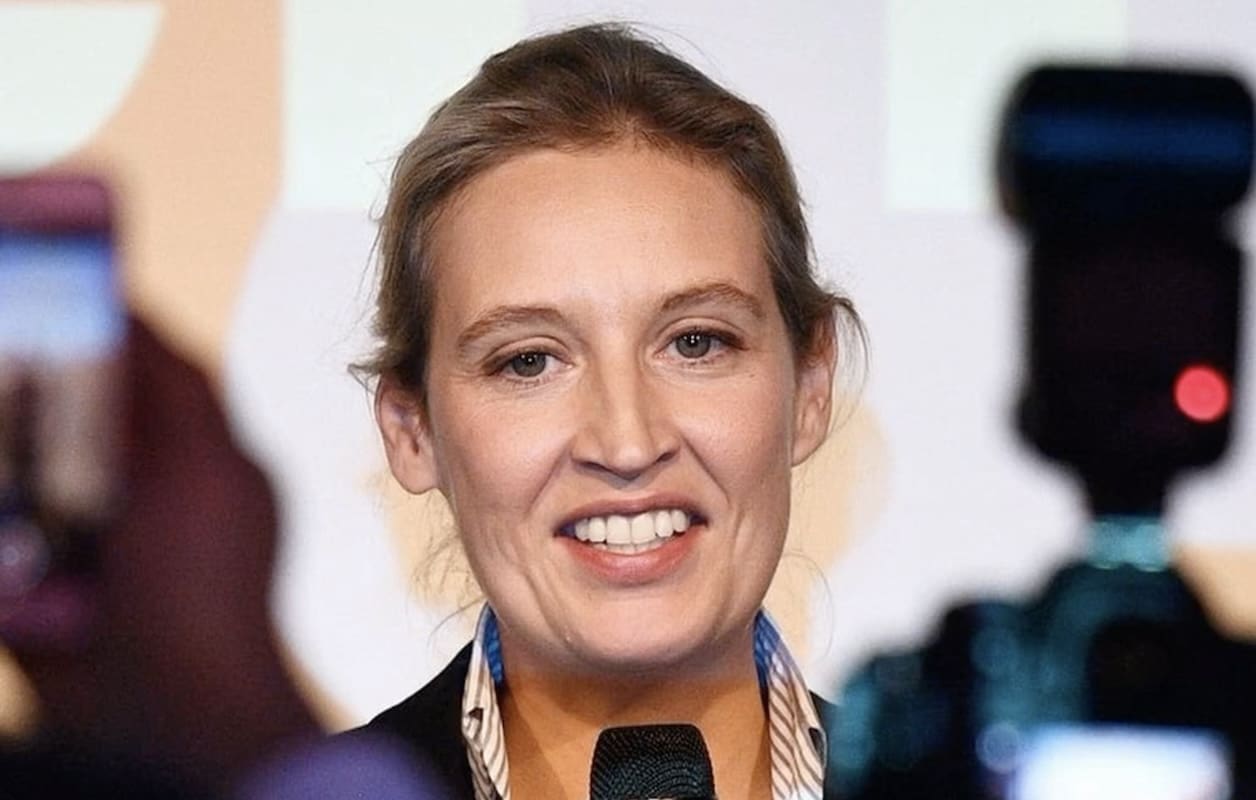 You are currently viewing Allemagne – L’AfD célèbre un score « historique » aux législatives