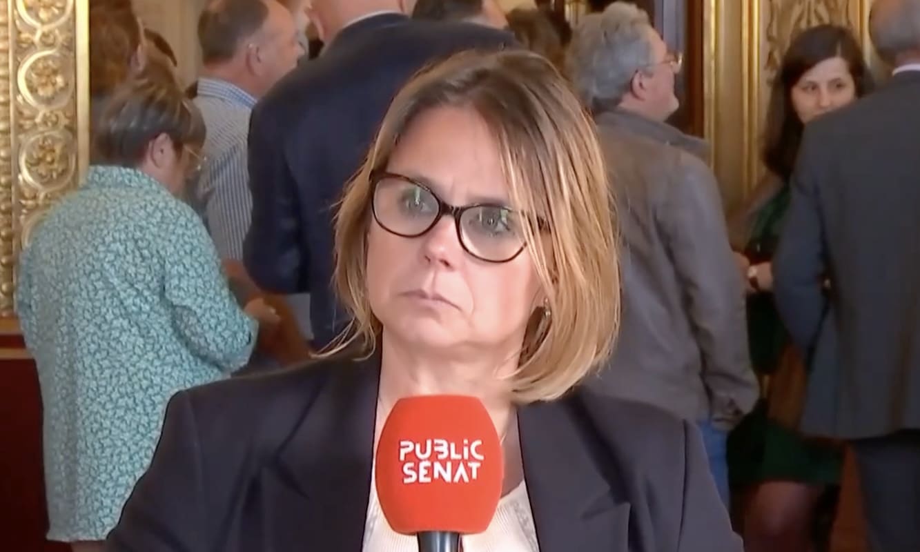 You are currently viewing Cécile Cukierman : « La France doit prendre des décisions politiques pour préserver sa souveraineté industrielle »