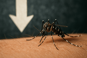 Lire la suite à propos de l’article Santé : trois nouveaux décès liés au chikungunya à La Réunion, mais l’épidémie ralentit