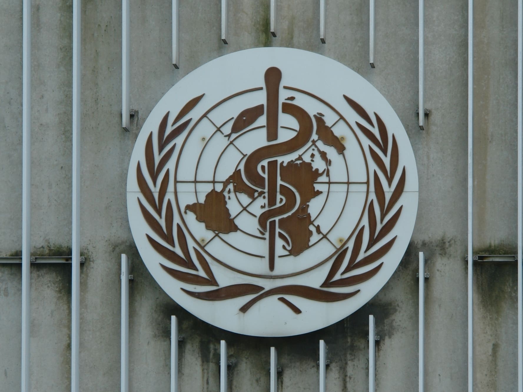 You are currently viewing COP30 à Belém : l’OMS entend placer la santé au cœur de la lutte contre le changement climatique