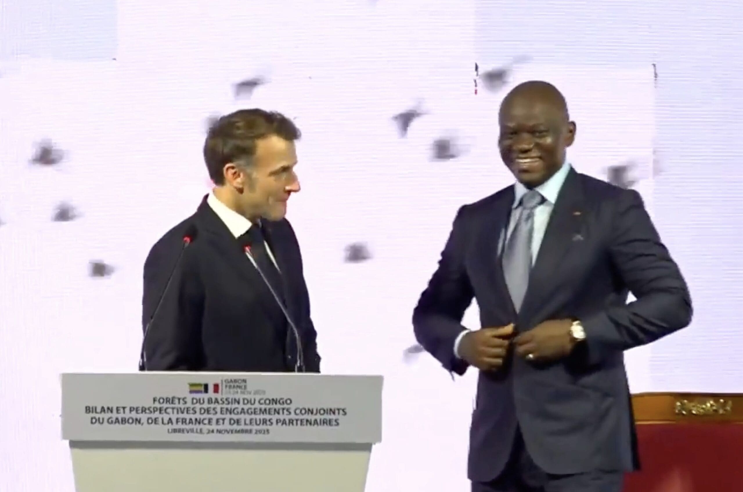 You are currently viewing Forêt du Bassin du Congo : un appel renouvelé à une coopération entre le Gabon et la France