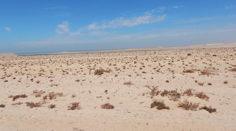 You are currently viewing Sahara occidental : l’ONU valide le plan marocain et ouvre la voie à des négociations historiques