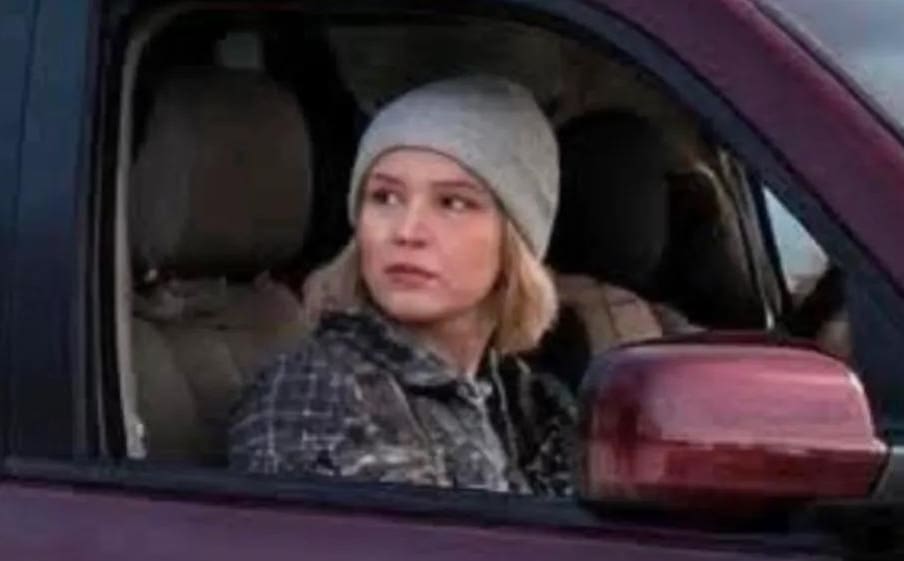 You are currently viewing États-Unis : ce que l’on sait de la mère de famille tuée par un agent de l’ICE à Minneapolis