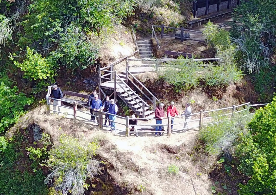You are currently viewing Bohemian Grove : fuite présumée d’une liste de 2 200 membres, l’élite américaine exposée ?