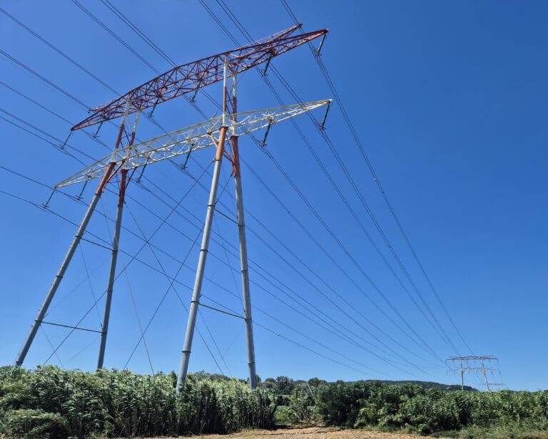 Lire la suite à propos de l’article Réseau sous tension : pourquoi RTE a décidé d’encadrer le solaire et l’éolien ?