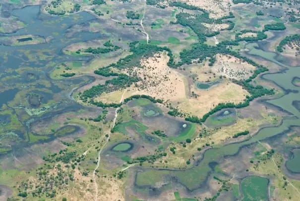Lire la suite à propos de l’article Nigeria : des pêcheurs pris au piège des frappes tchadiennes sur le lac Tchad
