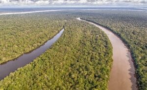 Lire la suite à propos de l’article Amazonie : la déforestation brésilienne tombe à son plus bas niveau depuis 2019 malgré des menaces persistantes