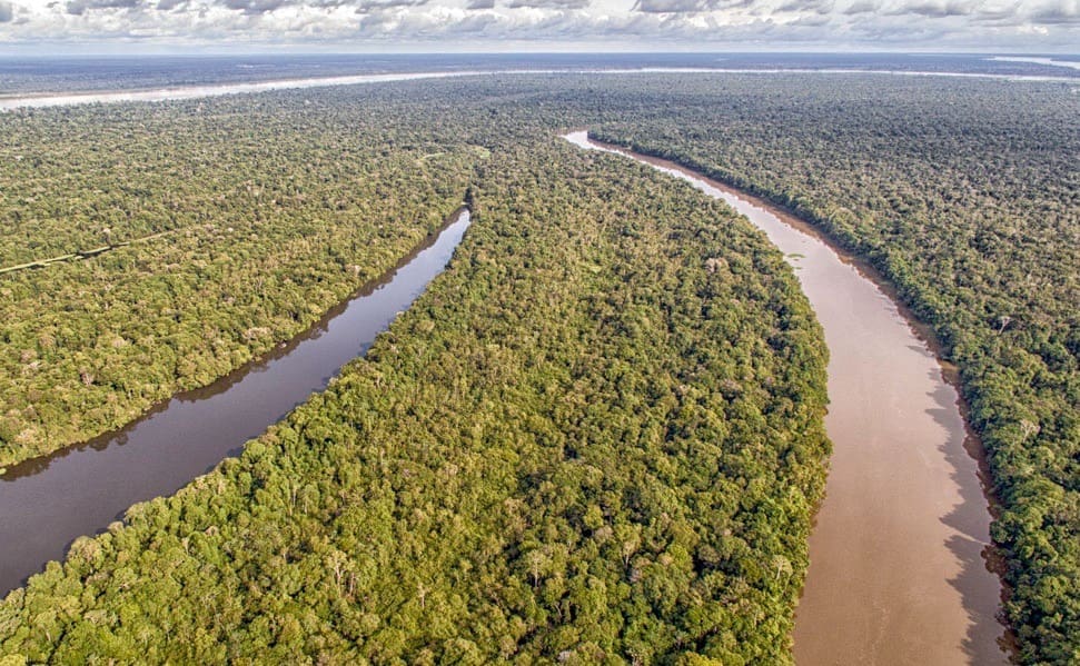 You are currently viewing Amazonie : la déforestation brésilienne tombe à son plus bas niveau depuis 2019 malgré des menaces persistantes