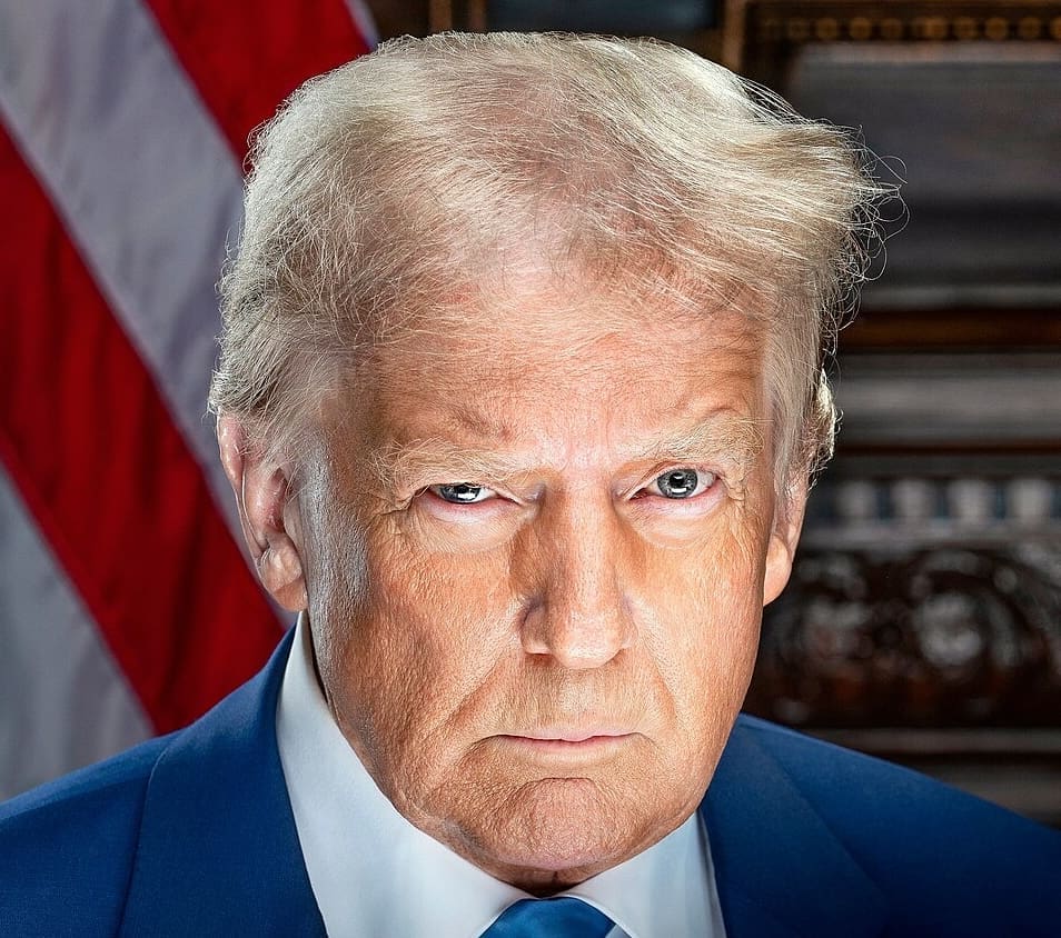 Donald Trump. Photo : @Daniel Torok 