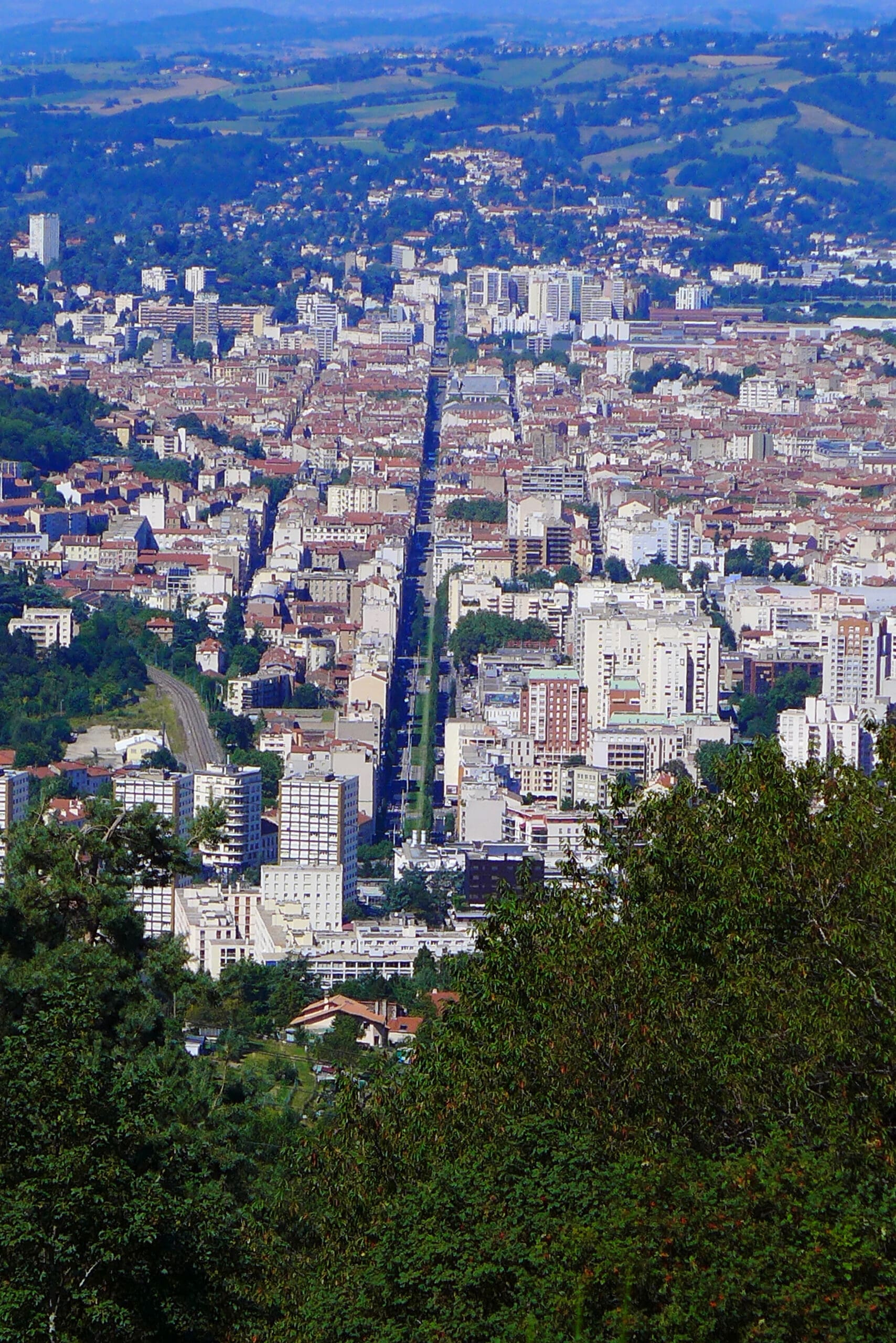 Photo : Wikimedia Commons